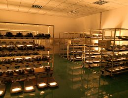 хуучин туршилт