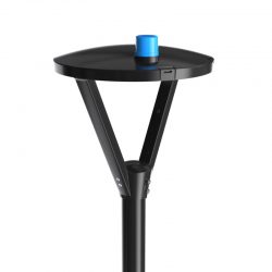 цэцэрлэгийн гэрэлтүүлэг